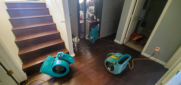 Best Water damage cleanup near me  in Victoria, TX