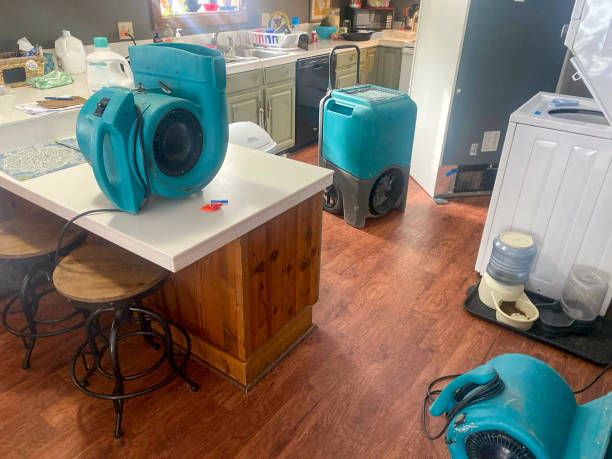 Best Water damage restoration services  in Victoria, TX