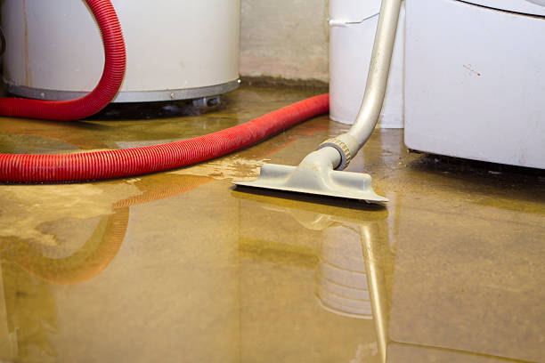 Best Professional water damage repair  in Victoria, TX