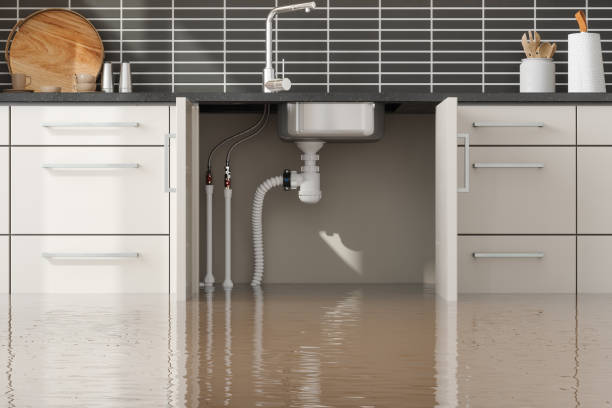 Best Residential water damage restoration  in Victoria, TX