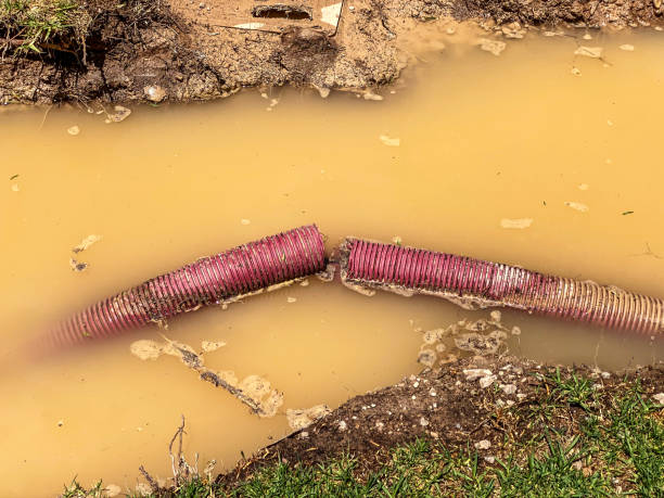 Best Flood restoration services  in Victoria, TX
